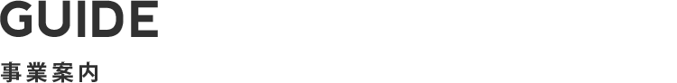 guide